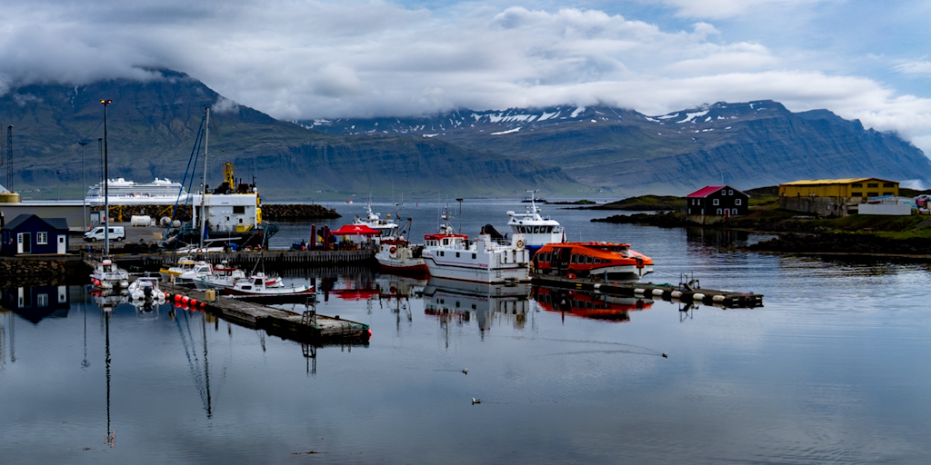 Photography by Chris Allington